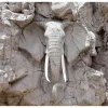 Selbstklebende Tapete 'The Elephant Wall'