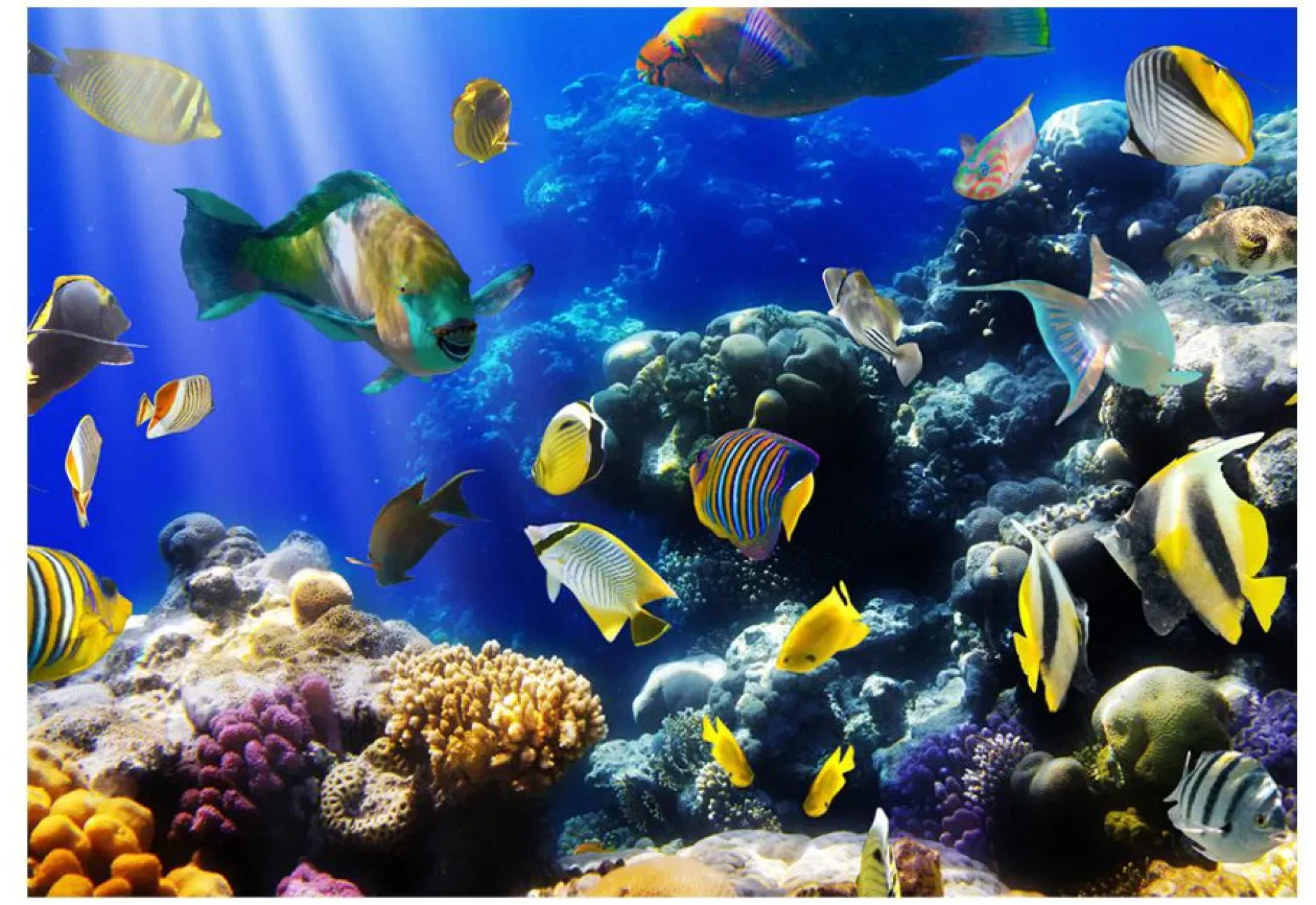 Selbstklebende Tapete 'Underwater adventure'