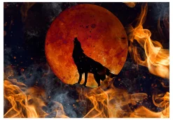 Selbstklebende Tapete 'Wolf on Fire'