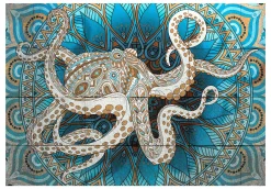 Selbstklebende Tapete 'Zen Octopus'