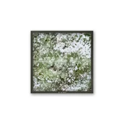 Steinbild 'Essential Line Robinia'