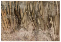 Tapete 'Boho Nature'