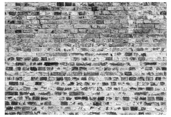 Tapete 'Border of Greynesses'