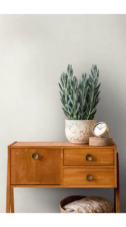 Tapete 'Classic Beauty' 53x1005cm