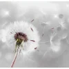 Tapete 'Dancing in the Sky'