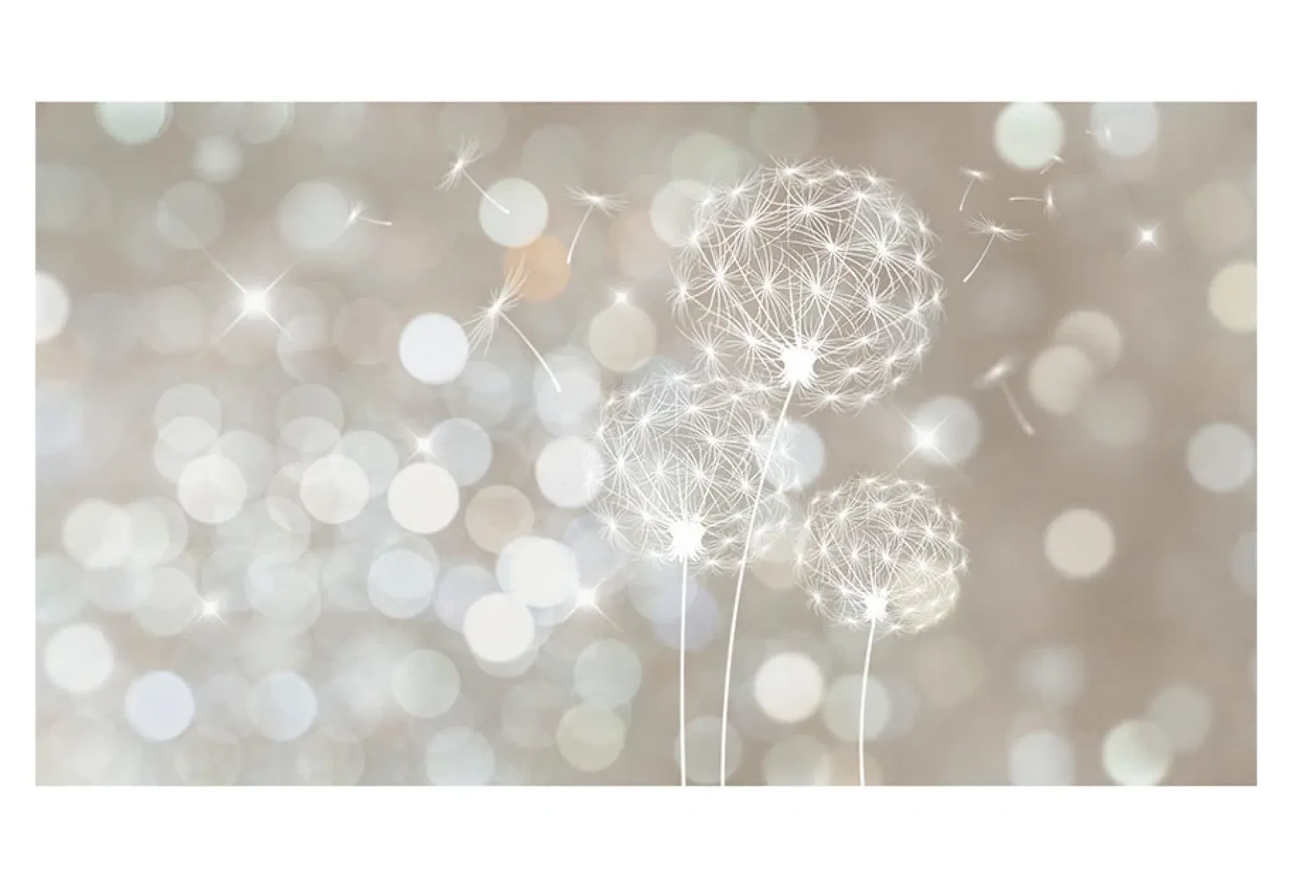 Tapete 'Dandelion's Lightness'