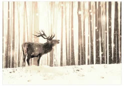 Tapete 'Deer in the Snow (Sepia)'