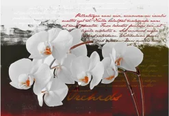 Tapete 'Diary and orchid'