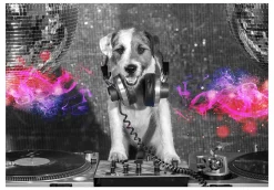 Tapete 'DJ Dog'