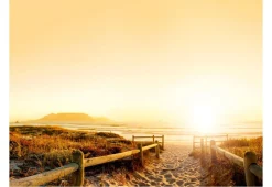 Tapete 'In Richtung Sonne'