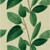 Tapete 'Leafy Elegance' 159x280cm