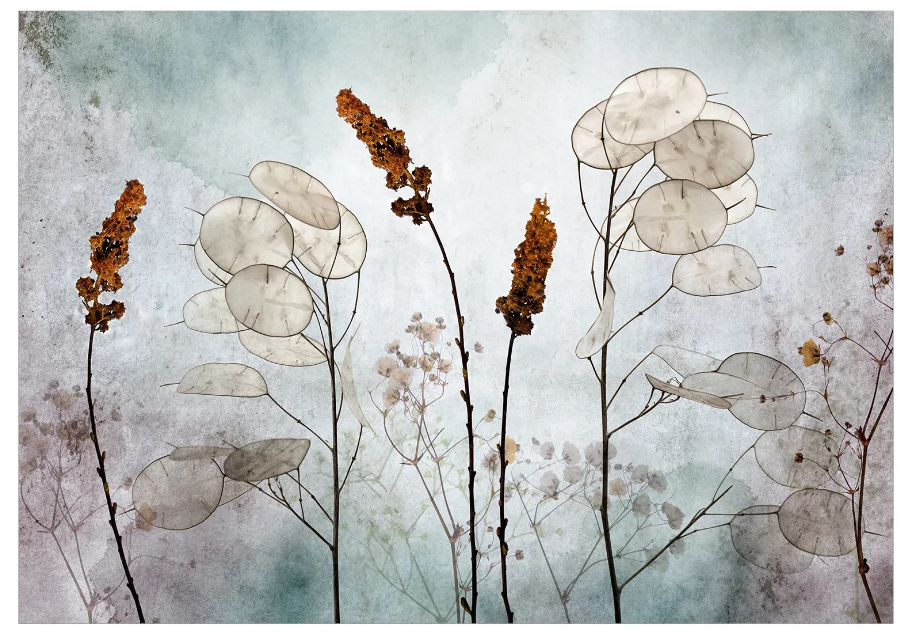 Tapete 'Lunaria in the Meadow'