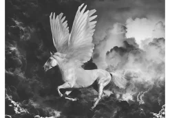 Tapete 'Majestic Flying Horse'