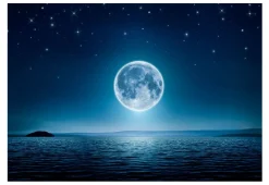 Tapete 'Moonlit night'