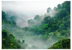 Tapete 'Morning Fog'