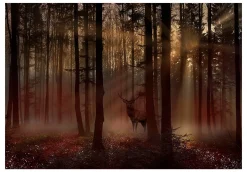 Tapete 'Mystical Forest - First Variant'