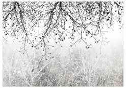 Tapete 'Natural Brightness'