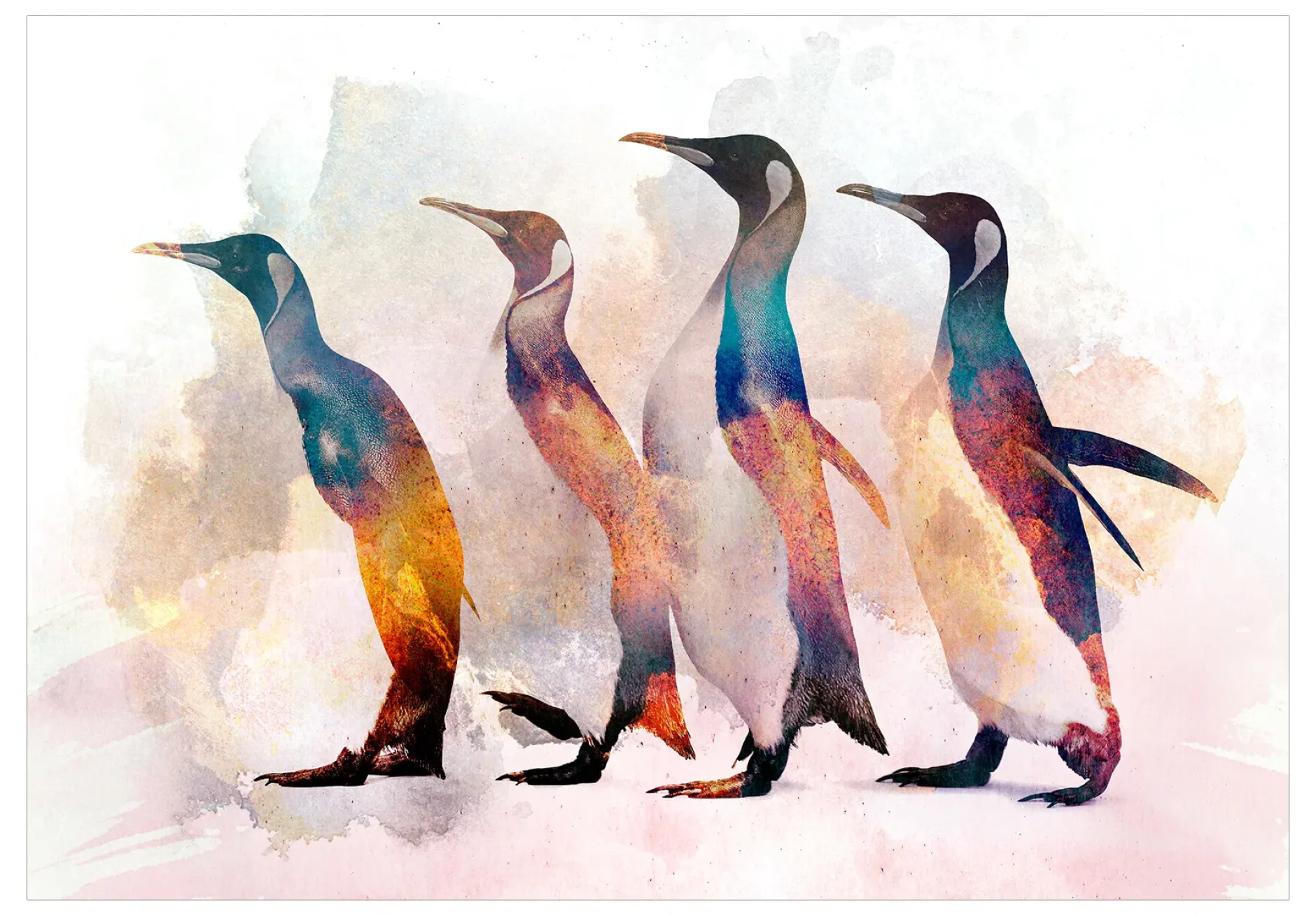 Tapete 'Penguin Wandering'