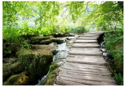 Tapete 'Pfad im Wald'
