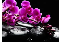 Tapete 'Pure Harmonie: Orchidee und Zen - Steine'