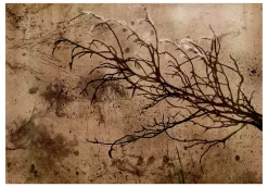 Tapete 'Rickety Cherry Tree'