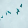 Tapete 'Skyward Flight' 371x280cm