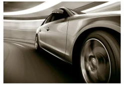 Tapete 'Speed and Elegance'