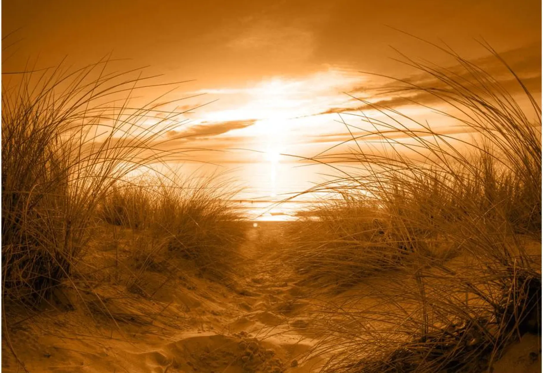 Tapete 'Strand (Sepia)'