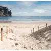 Tapete 'Summer Paradise'