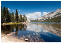 Tapete 'Tenaya Lake'