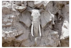 Tapete 'The Bridge of Time (South Africa)'