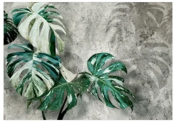 Tapete 'Variegata'