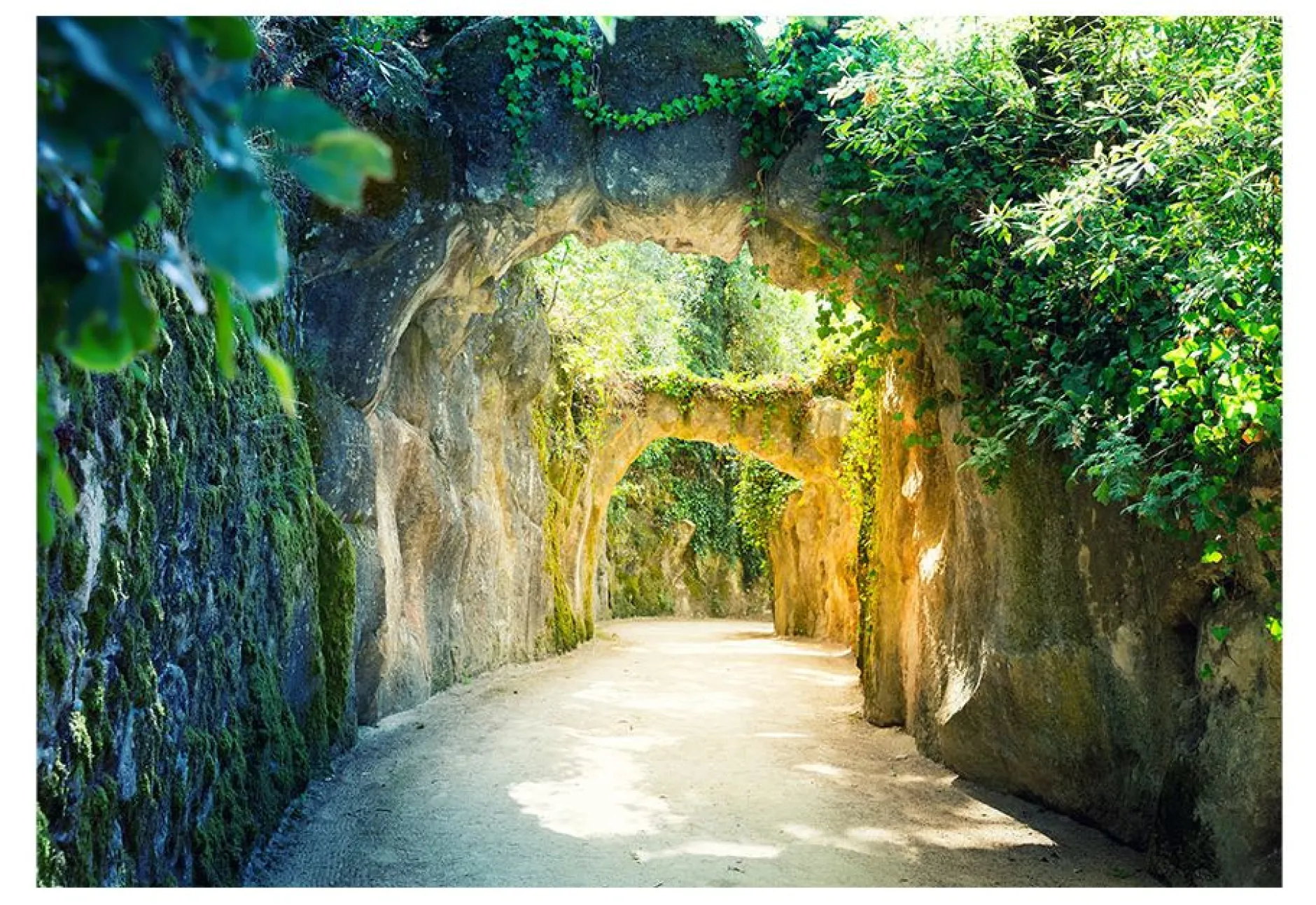 Tapete 'Via naturae'