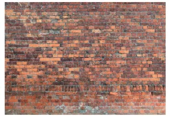 Tapete 'Vintage Wall (Red Brick)'