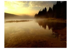 Tapete 'Wald und See'
