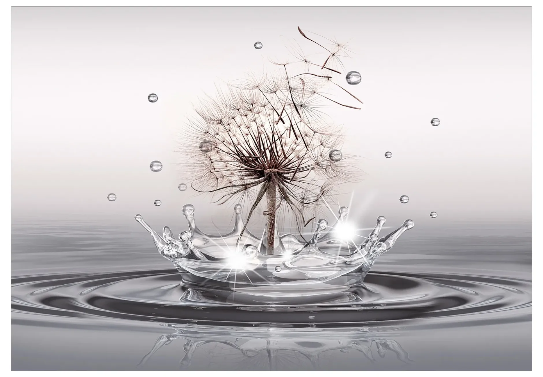 Tapete 'Wind Drops'