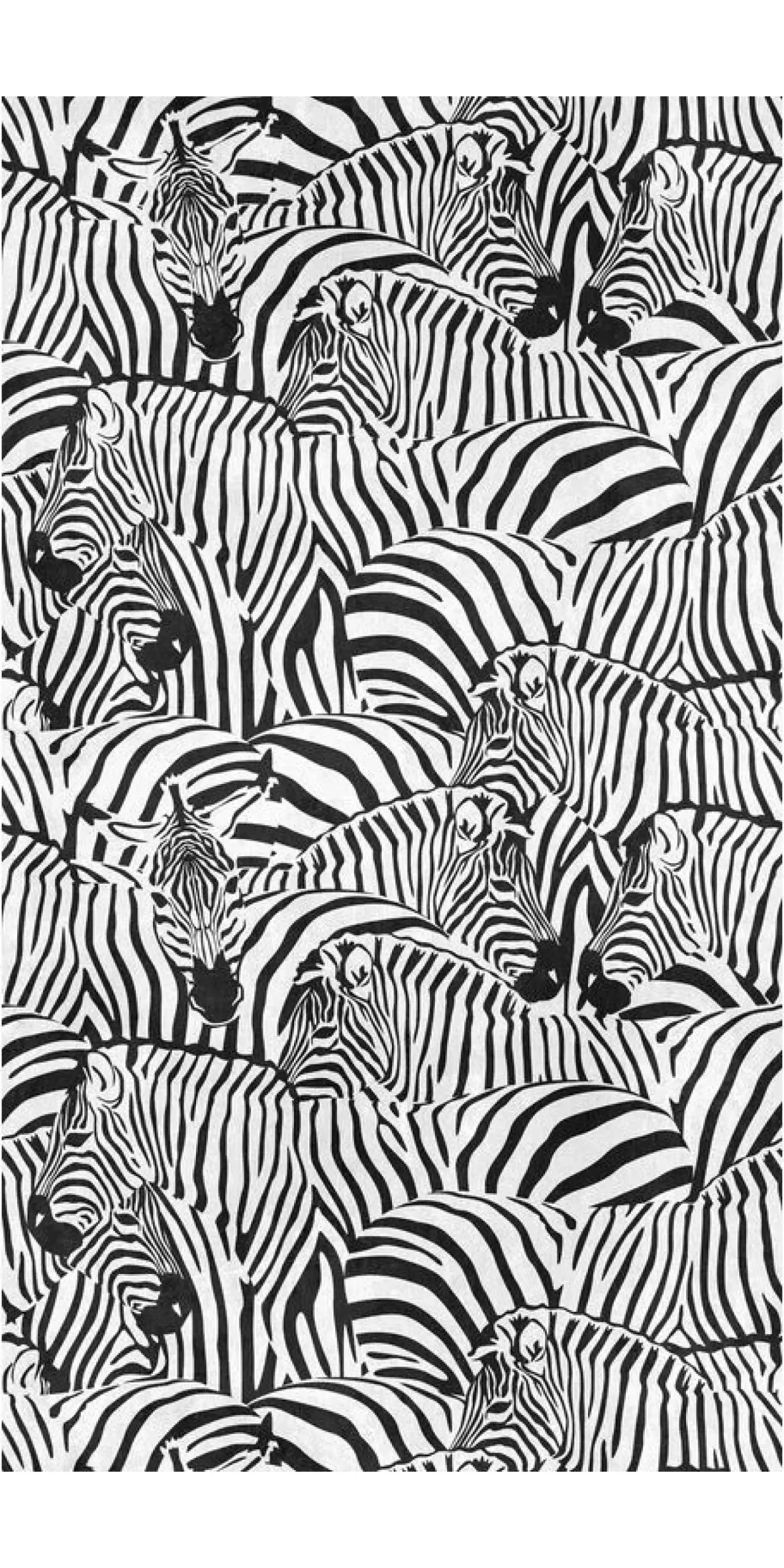 Tapete 'Zebra Parade' 159x280cm