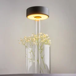 Tischlampe 'Clearlight Pillar'