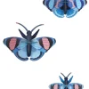 Wanddeko Papier 'Azur-Flug-Trio'