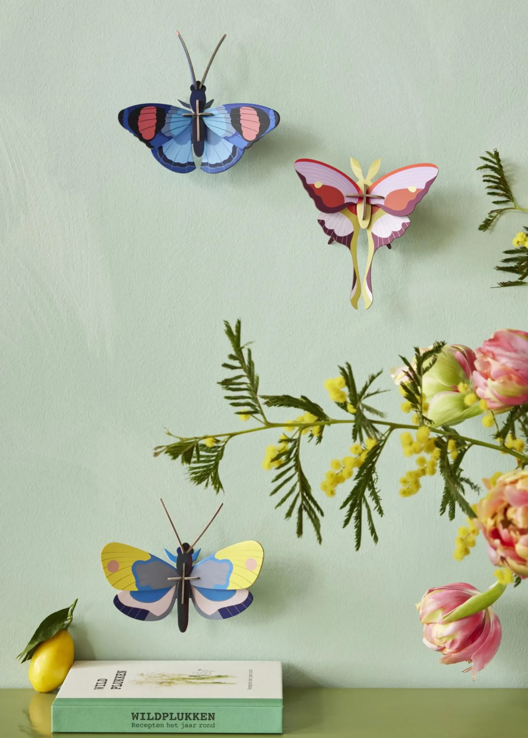 Wanddeko Papier 'Elegante Mottenflügel'