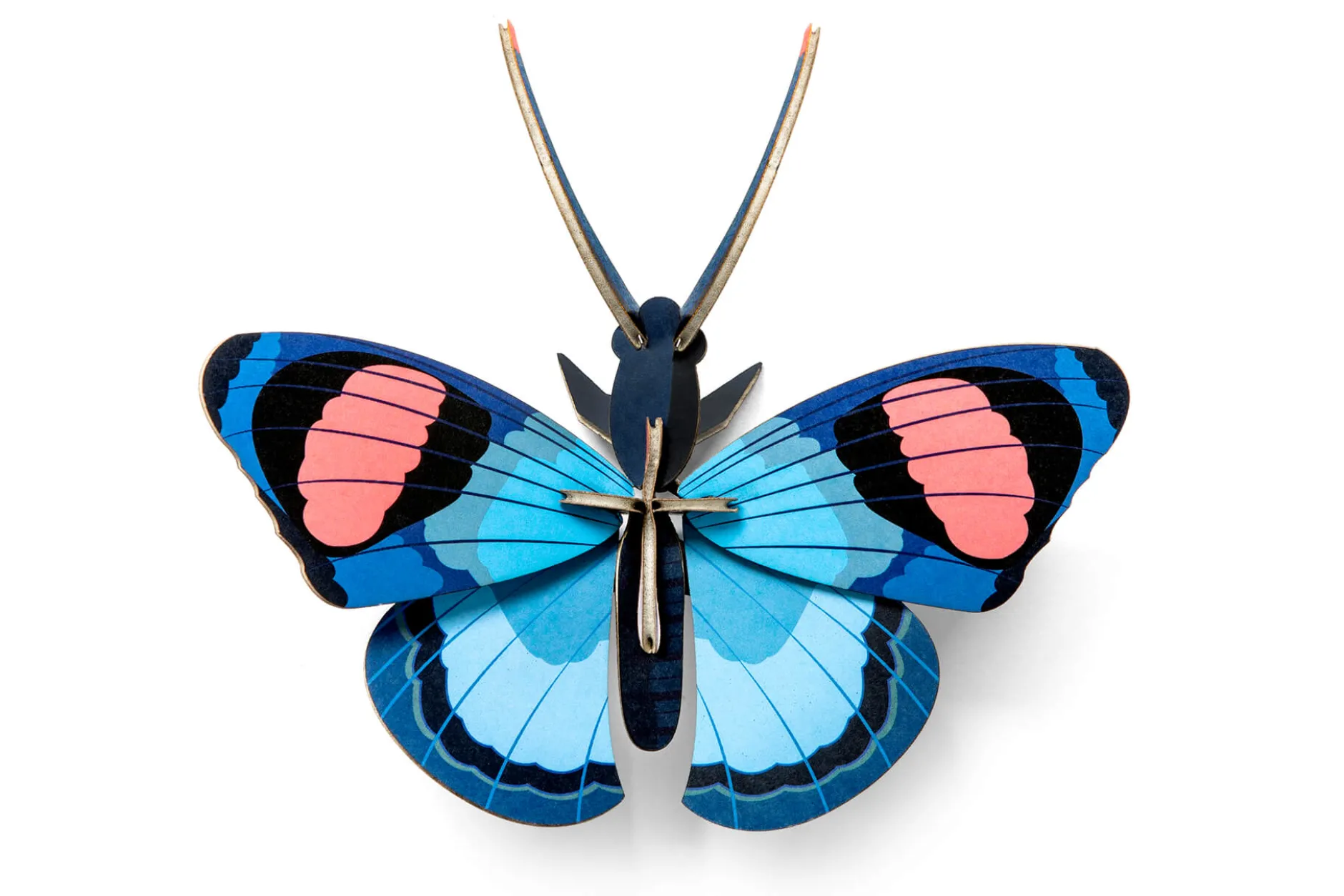 Wanddeko Papier 'Pfauenauge'