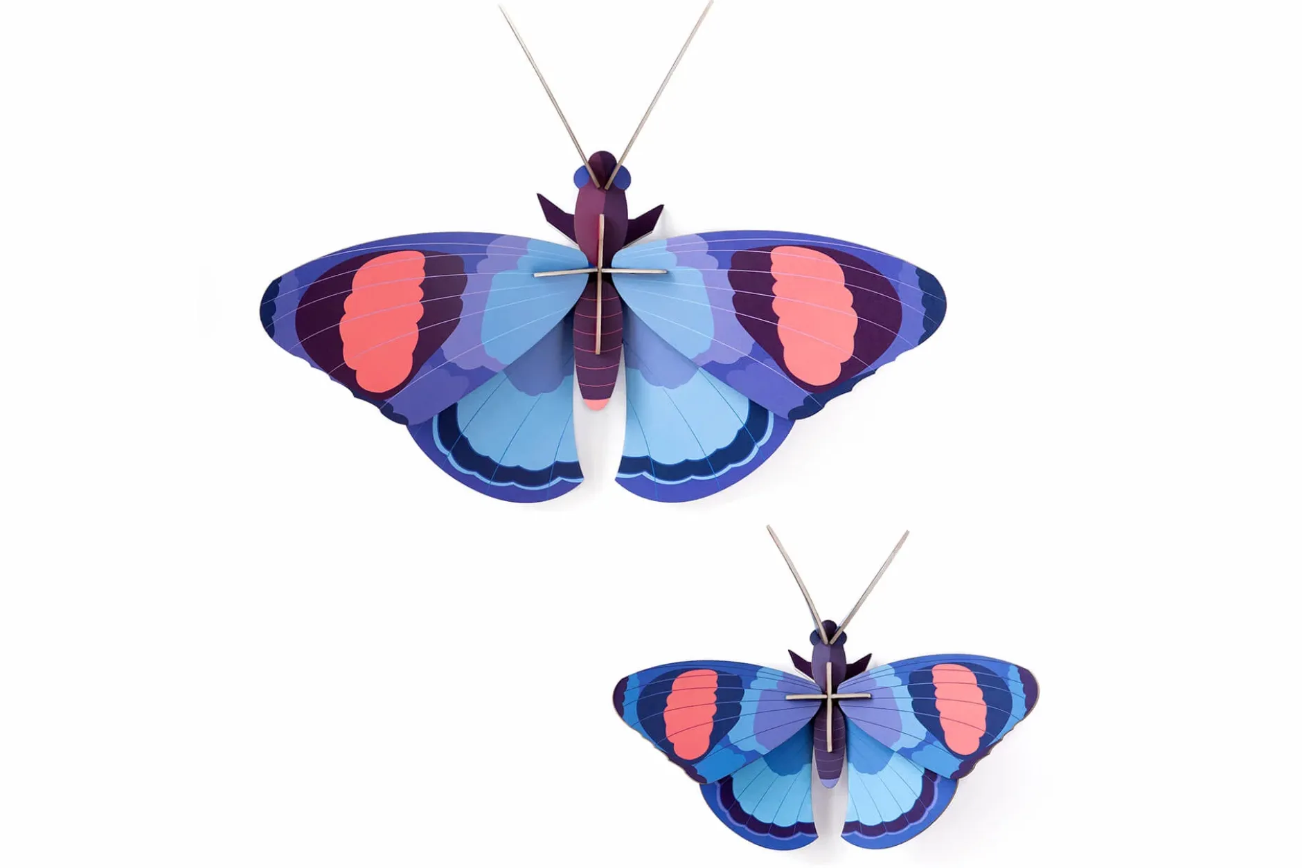 Wanddeko Papier 'Schmetterlings-Duo'