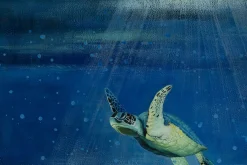 XXL Öl Gemälde 'A Turtle's Adventure' | Handgemaltes Unikat