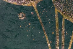 XXL Öl Gemälde 'Blumen des Waldes' | Handgemaltes Unikat