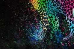 XXL Öl Gemälde 'Colorful Power' | Handgemaltes Unikat