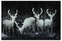 XXL Öl Gemälde 'Deer Magic' | Handgemaltes Unikat