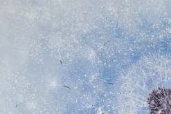 XXL Öl Gemälde 'Floating Seeds' | Handgemaltes Unikat
