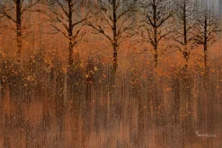 XXL Öl Gemälde 'Goldene Herbstbäume' | Handgemaltes Unikat