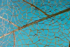 XXL Öl Gemälde 'Goldenes Detail' | Handgemaltes Unikat