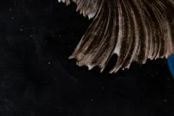 XXL Öl Gemälde 'Golden Soulmates' | Handgemaltes Unikat